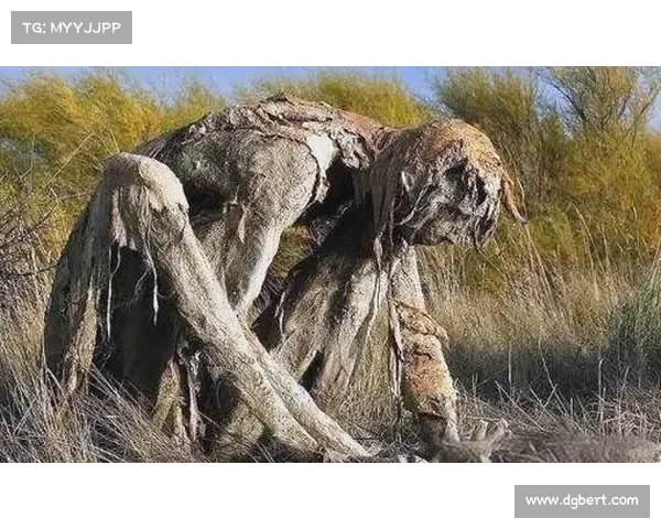 探秘古老传说中的神秘生物与失落文明背后的奥秘与未解之谜 探秘古老传说中的神秘生物与失落文明背后的奥秘与未解之谜